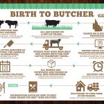 Birth to Butcher
