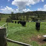 MBAB blogs - 1