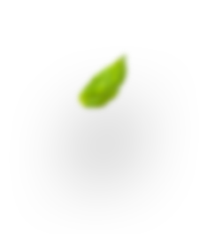 Leaf-2