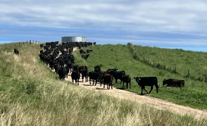 Regenerative Farming: Key Practices & Importance in Australia